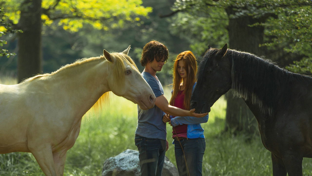 Backdrop image for movie Windstorm 2