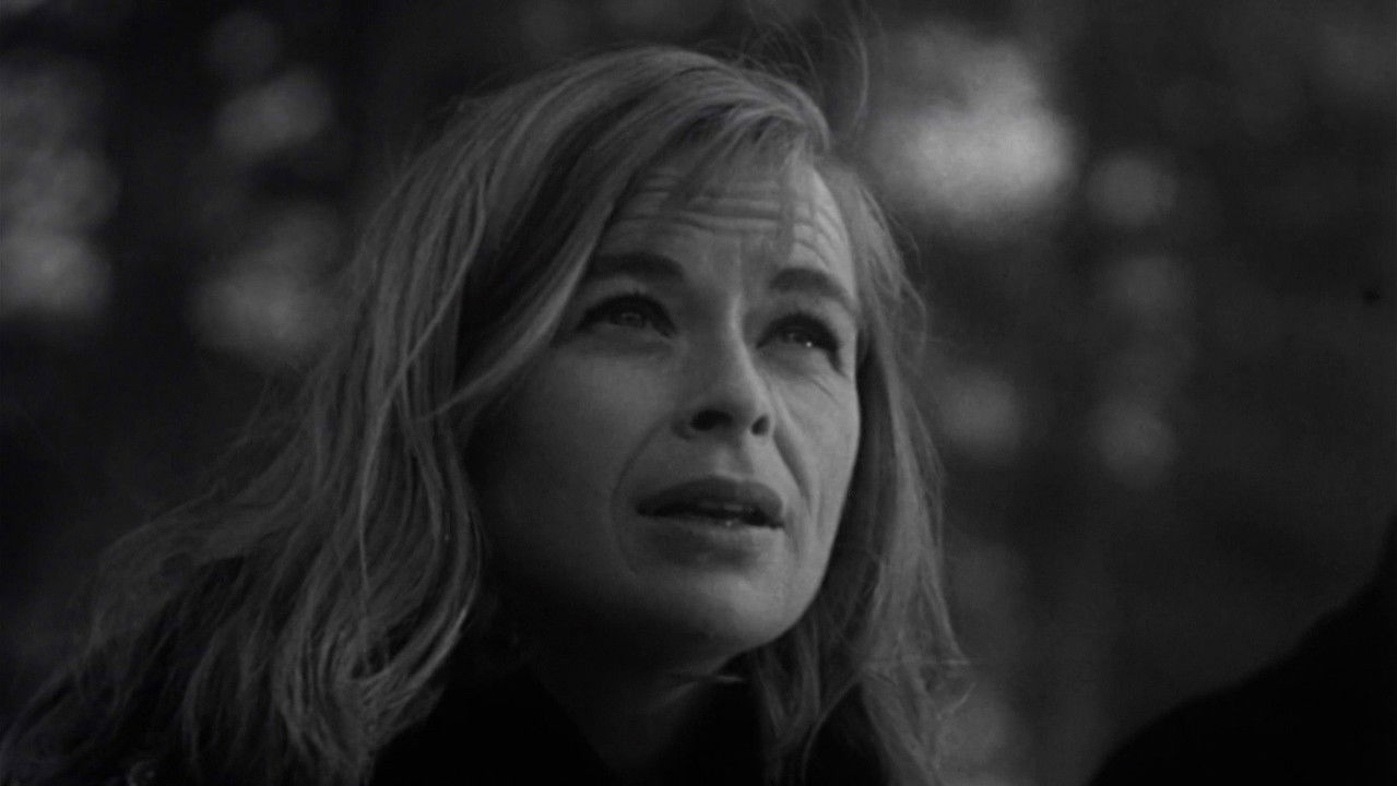 Backdrop image for movie Beast from Haunted Cave