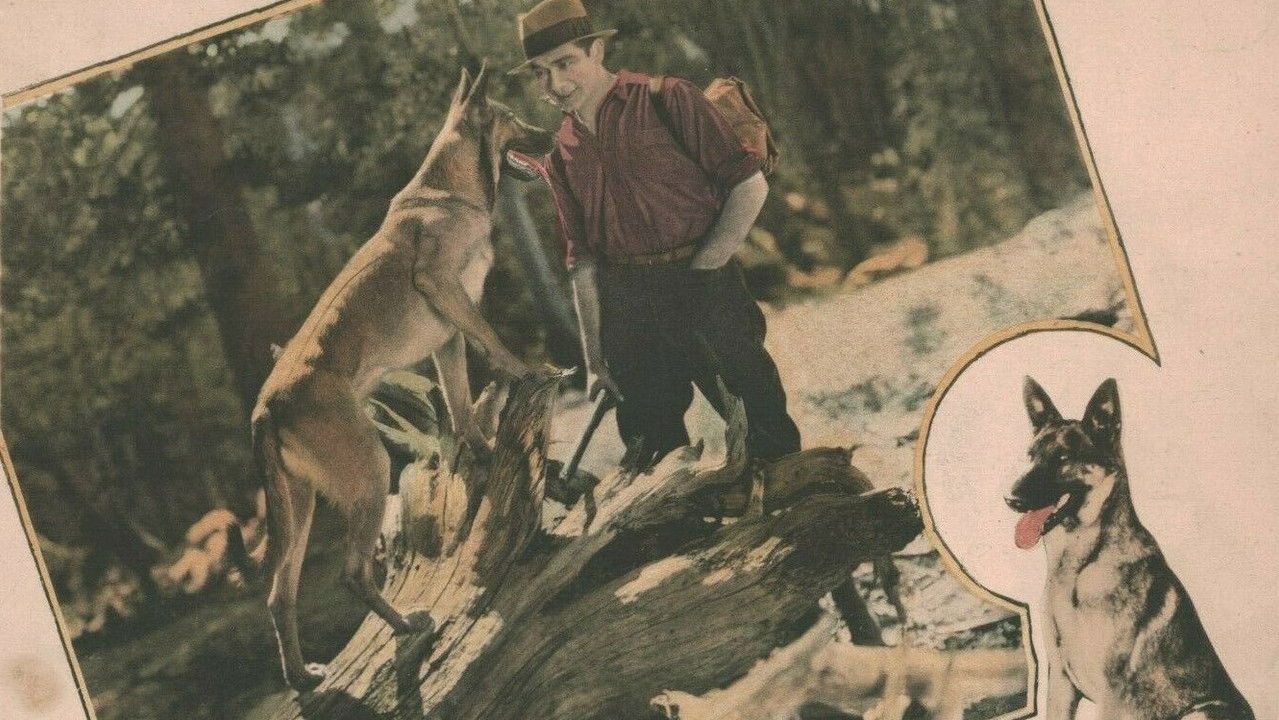 Backdrop image for movie Flaming Fury