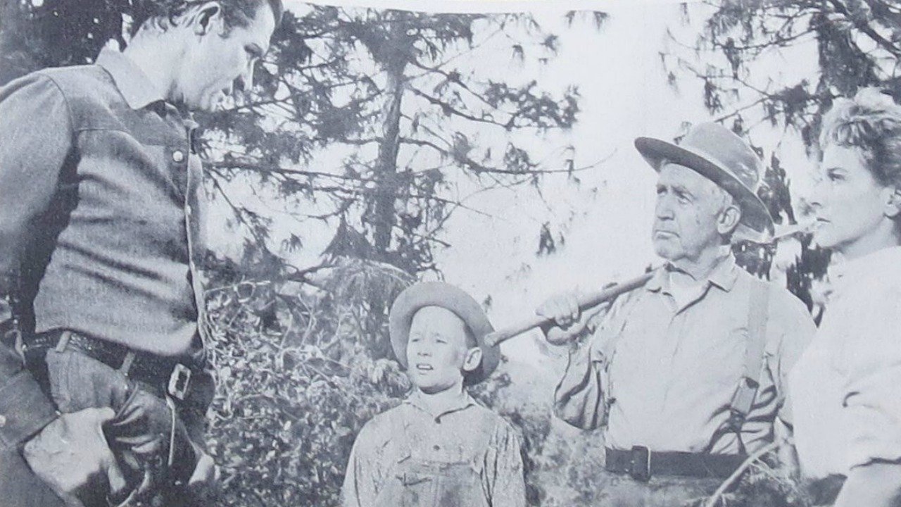 Backdrop image for movie Money, Women and Guns