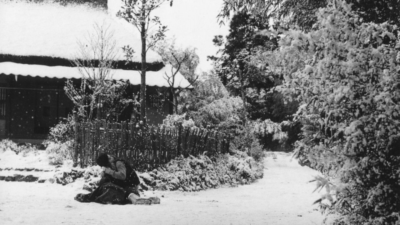 Backdrop image for movie Bamboo Doll of Echizen