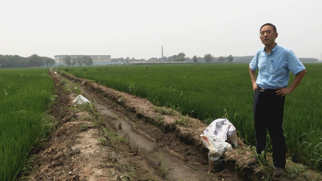 Backdrop image for movie Letter from Masanjia