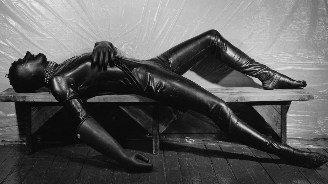 Backdrop image for movie Mapplethorpe: Look at the Pictures
