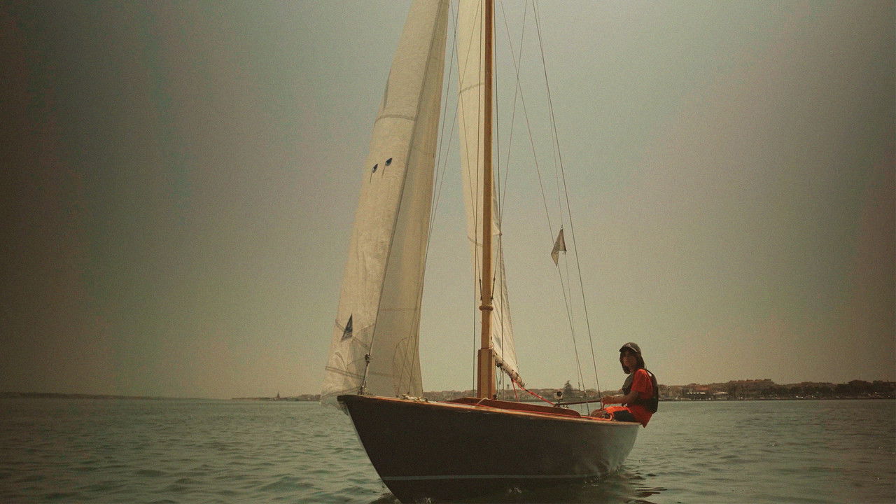 Backdrop image for movie Vougas of the Ria de Aveiro