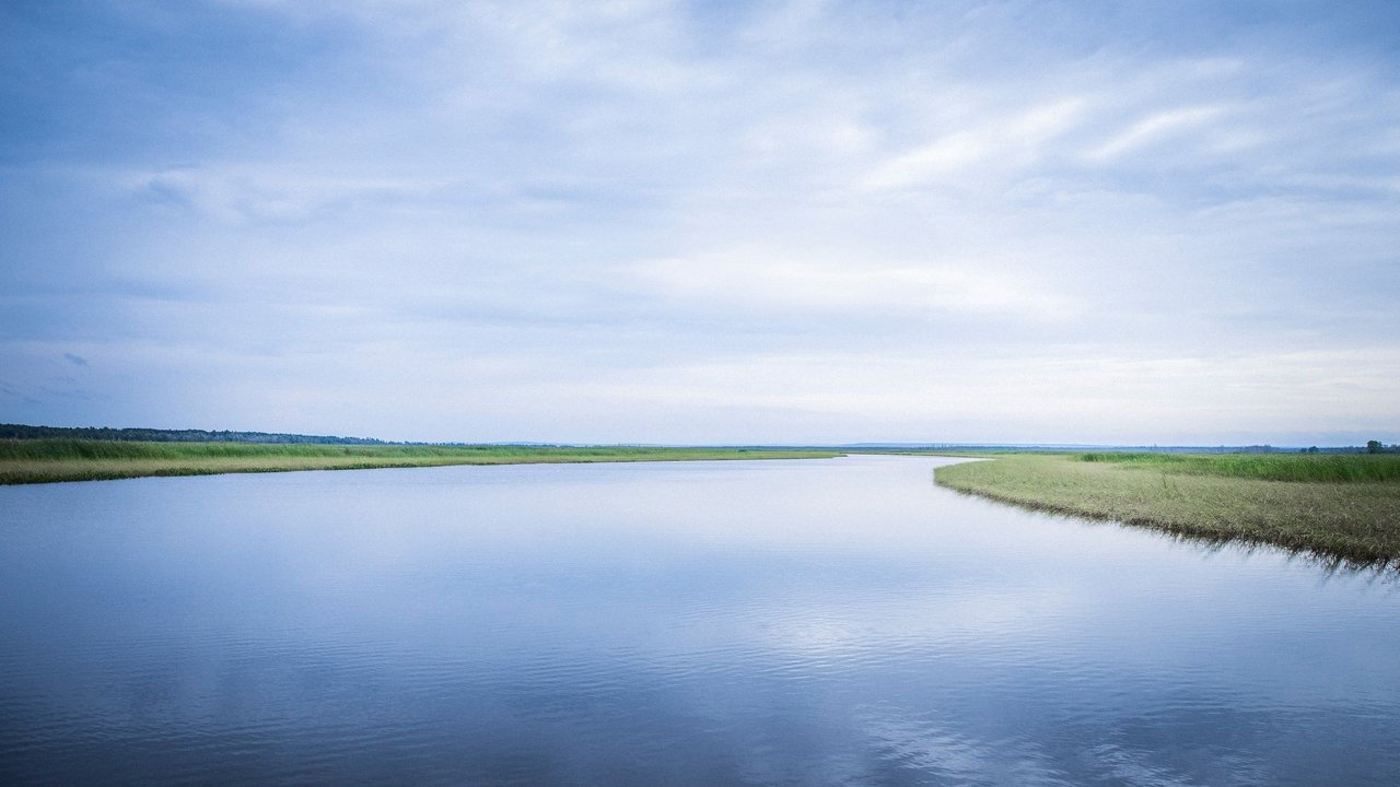 Backdrop image for movie Bad River