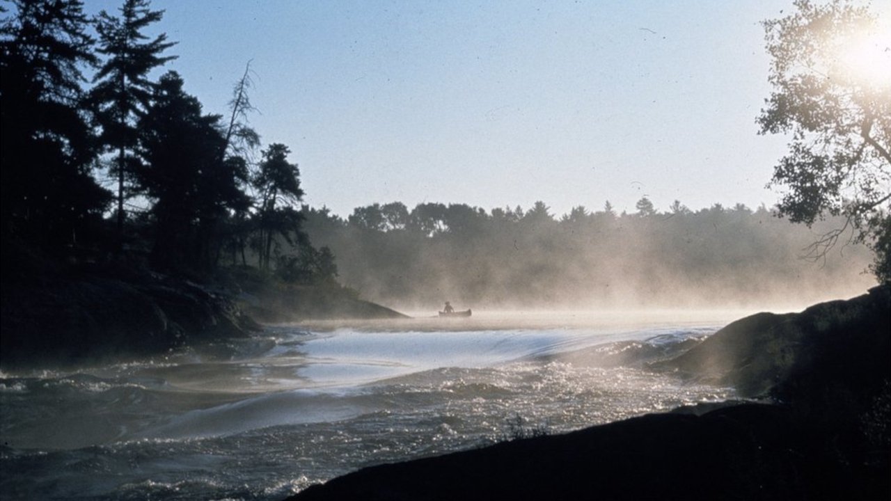 Backdrop image for movie Path of the Paddle: Solo Basic
