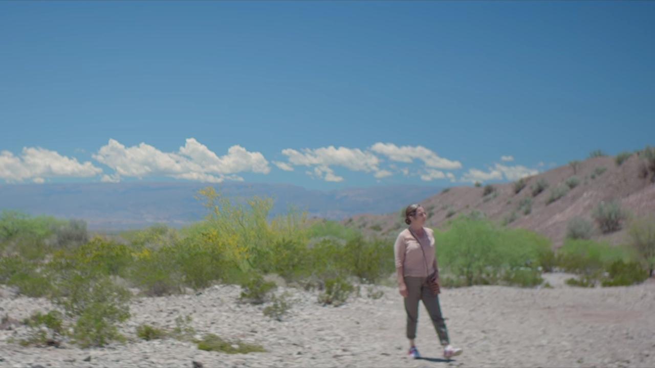 Backdrop image for movie The Desert Bride