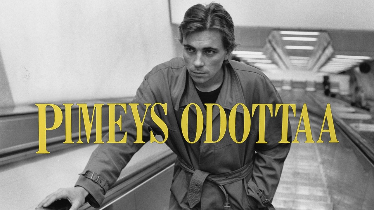 Backdrop image for movie Pimeys odottaa
