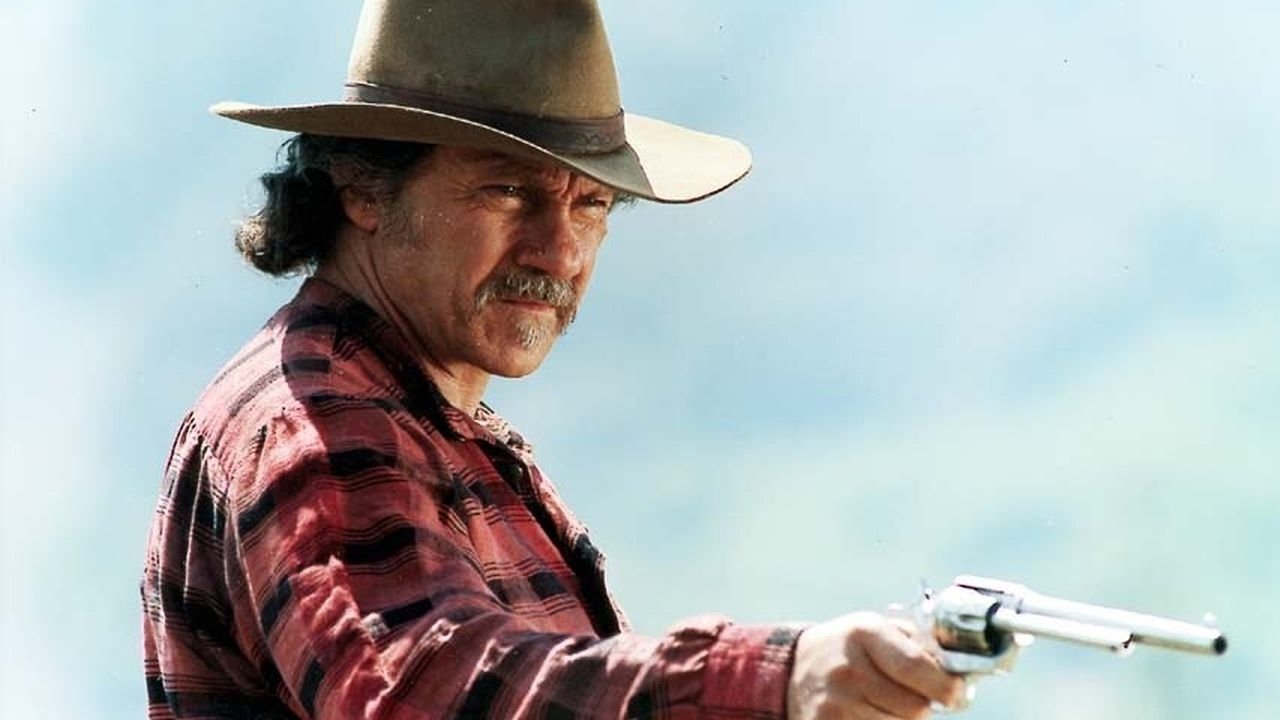 Backdrop image for movie Gunslinger's Revenge