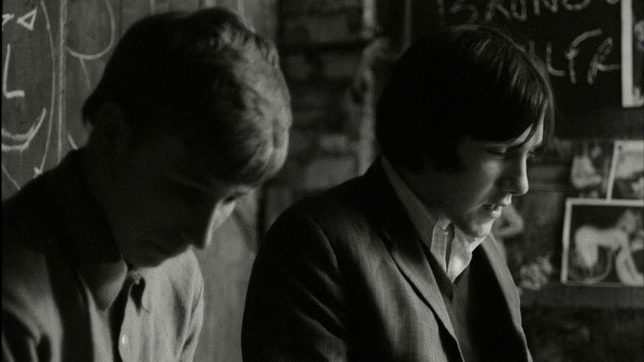 Backdrop image for movie Bronco Bullfrog