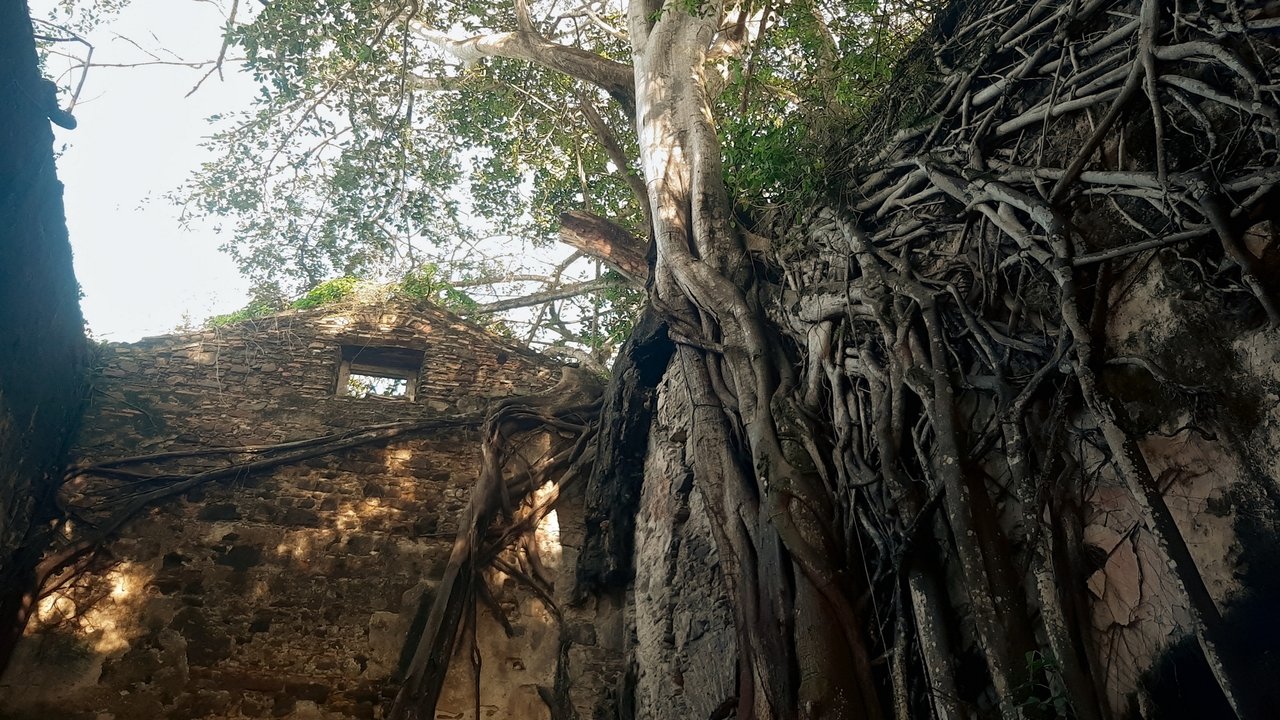 Backdrop image for movie Ilha de Itaparica - Raízes do Brasil
