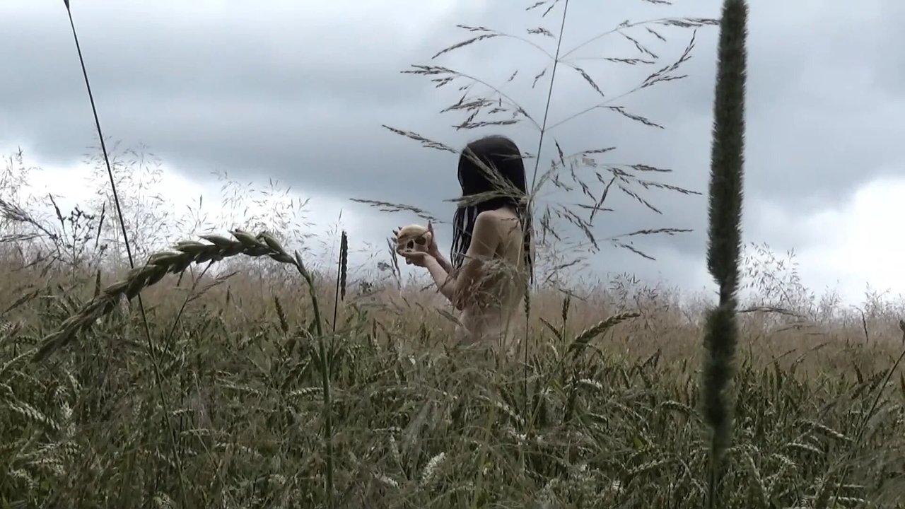 Backdrop image for movie Solitude of the Tormentors