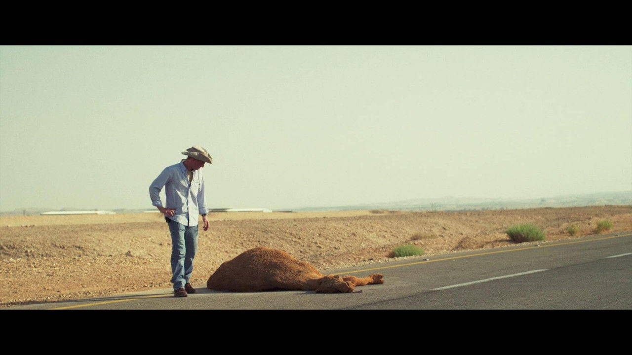 Backdrop image for movie Kilometer 147