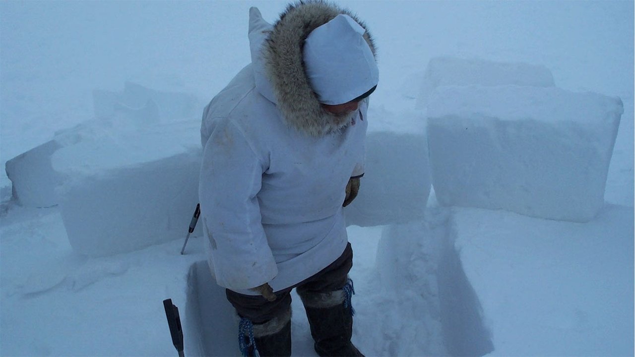 Backdrop image for movie Inuuvunga: I Am Inuk, I Am Alive