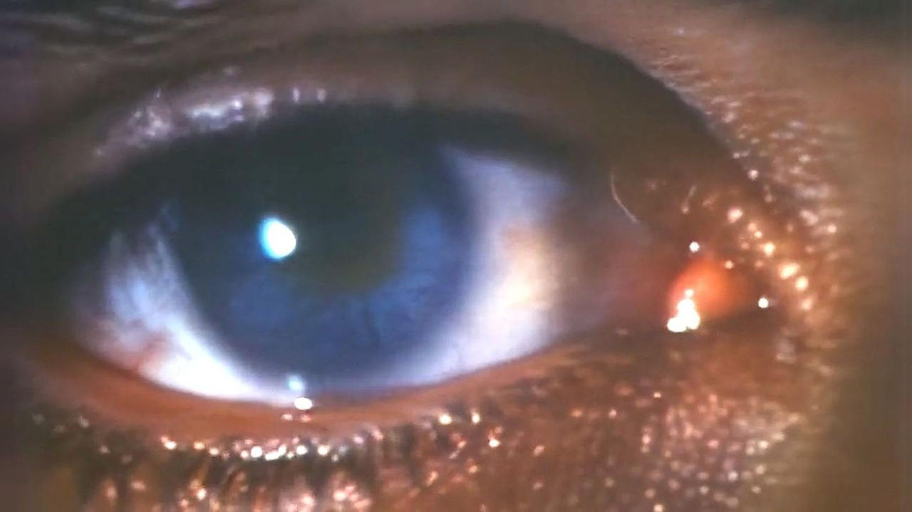 Backdrop image for movie Faces of Death III
