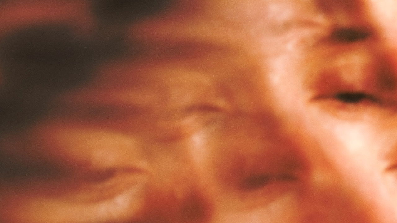 Backdrop image for movie Son of Sauna