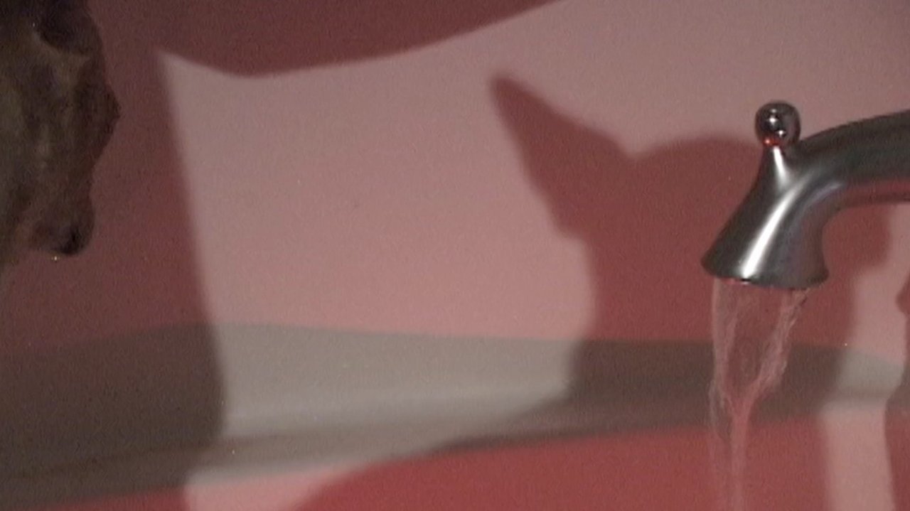 Backdrop image for movie Tidal Dance