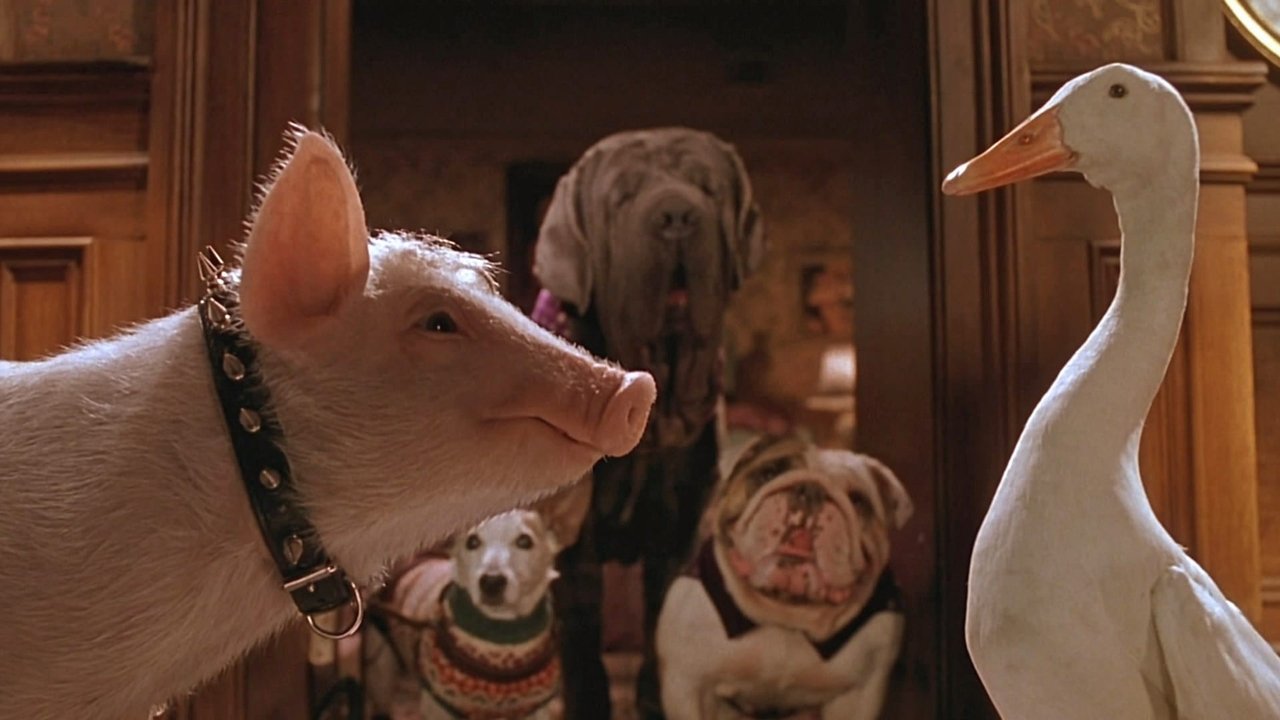 Backdrop image for movie Babe: Pig in the City