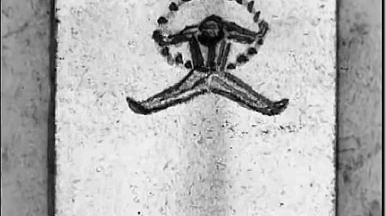 Backdrop image for movie Buffon Dance