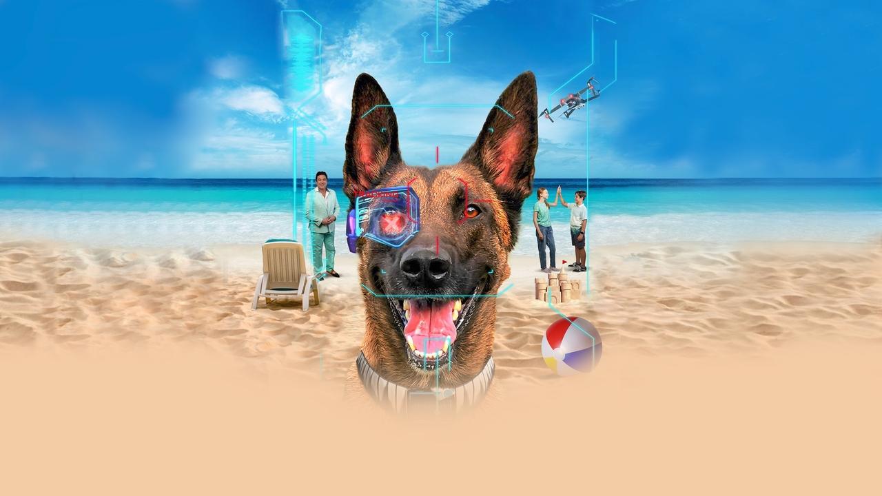 Backdrop image for movie R.A.D.A.R.: The Adventures of the Bionic Dog