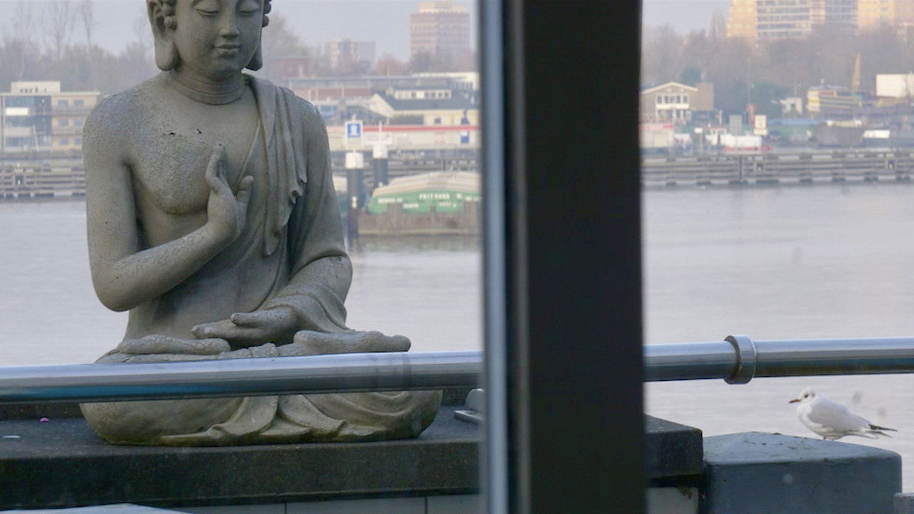 Backdrop image for movie The Mirror and the Window