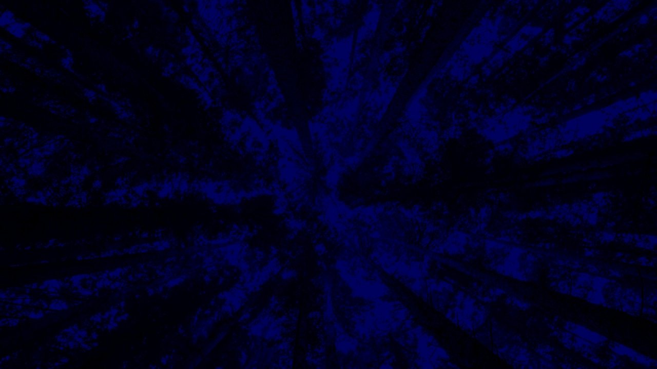 Backdrop image for movie New York City Opera: A Little Night Music