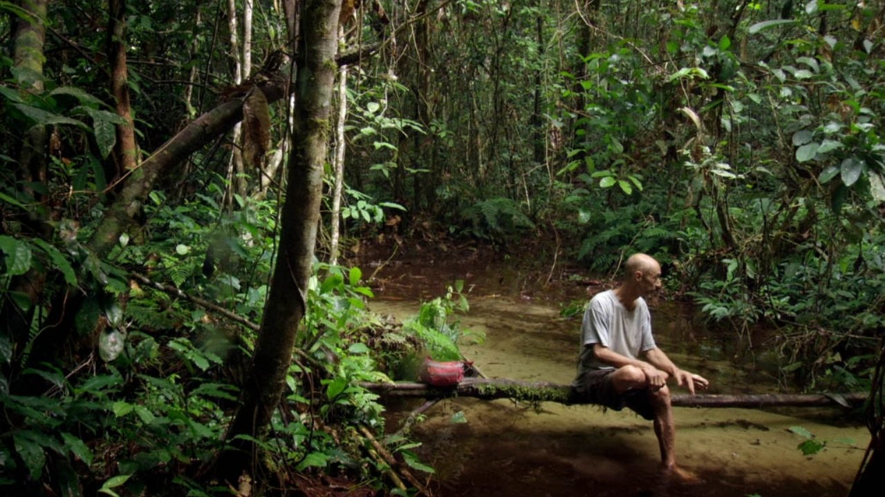 Backdrop image for movie Song from the Forest