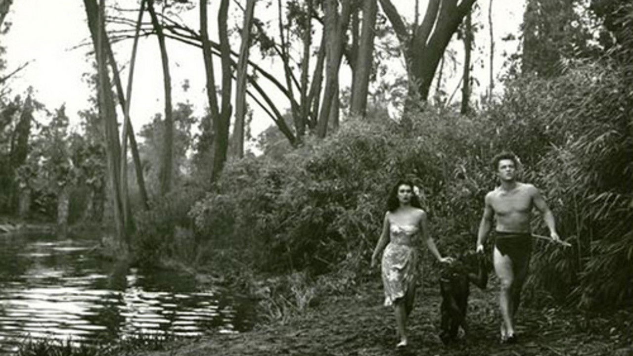 Backdrop image for movie Bomba and the Hidden City