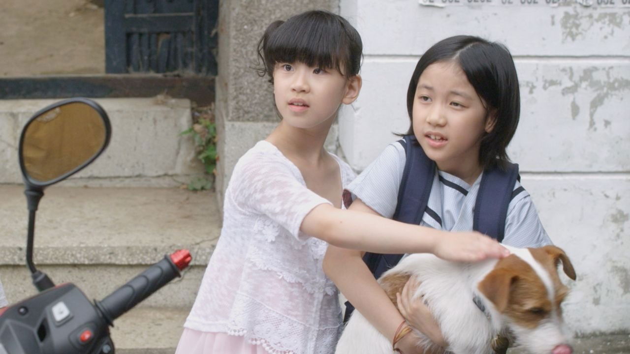 Backdrop image for movie How to Steal a Dog