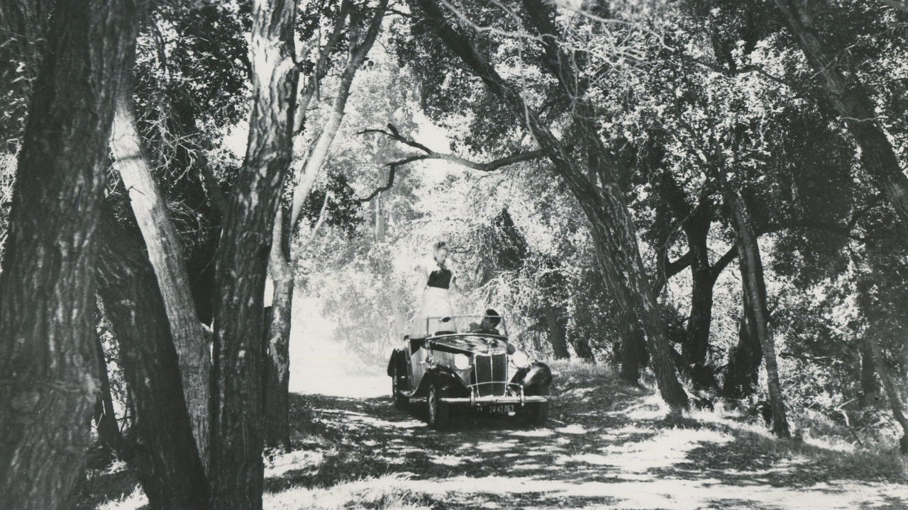 Backdrop image for movie Marry Me Again