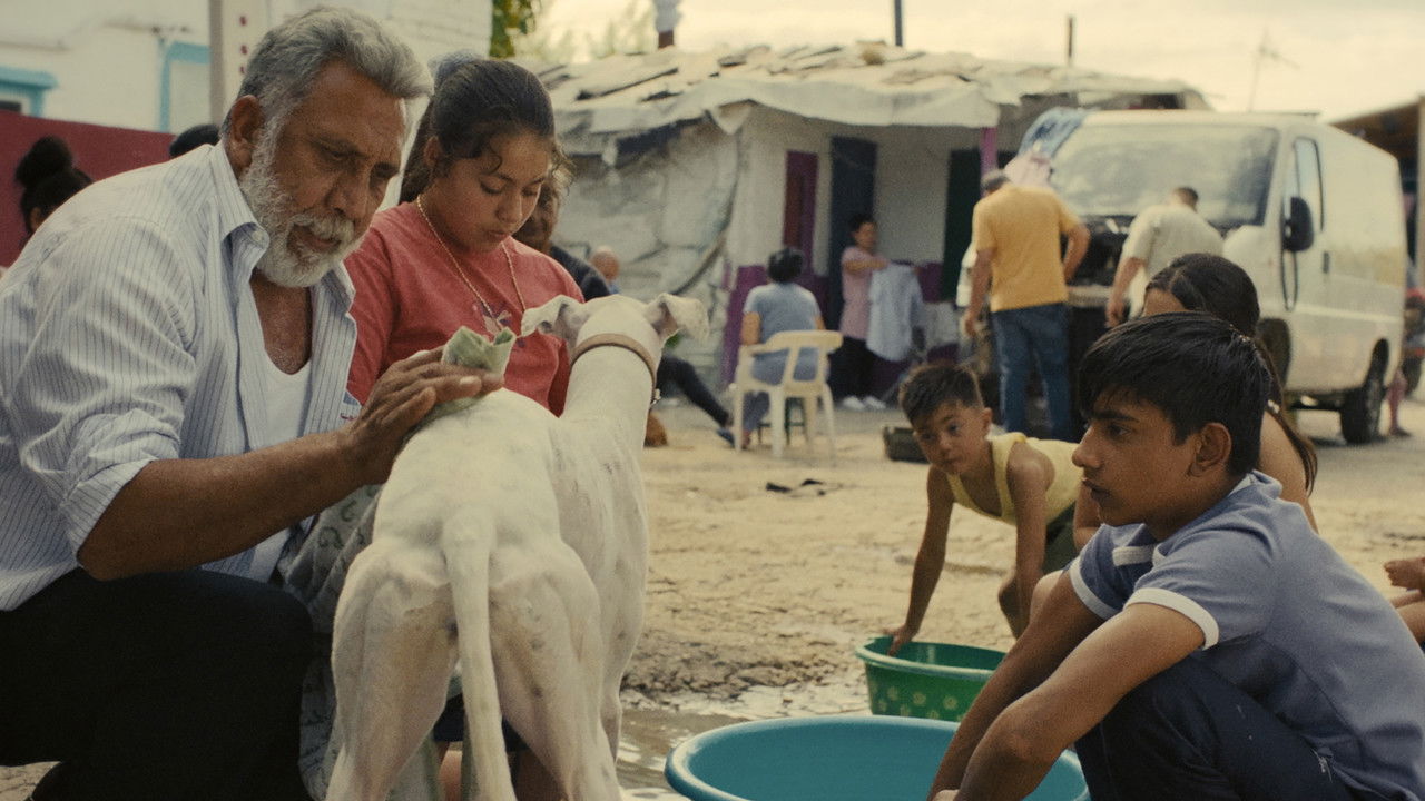 Backdrop image for movie Sleepless City