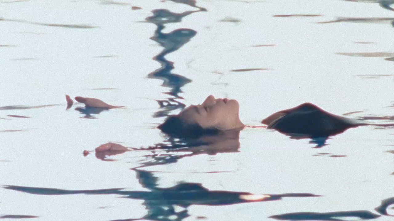 Backdrop image for movie Door II: Tokyo Diary