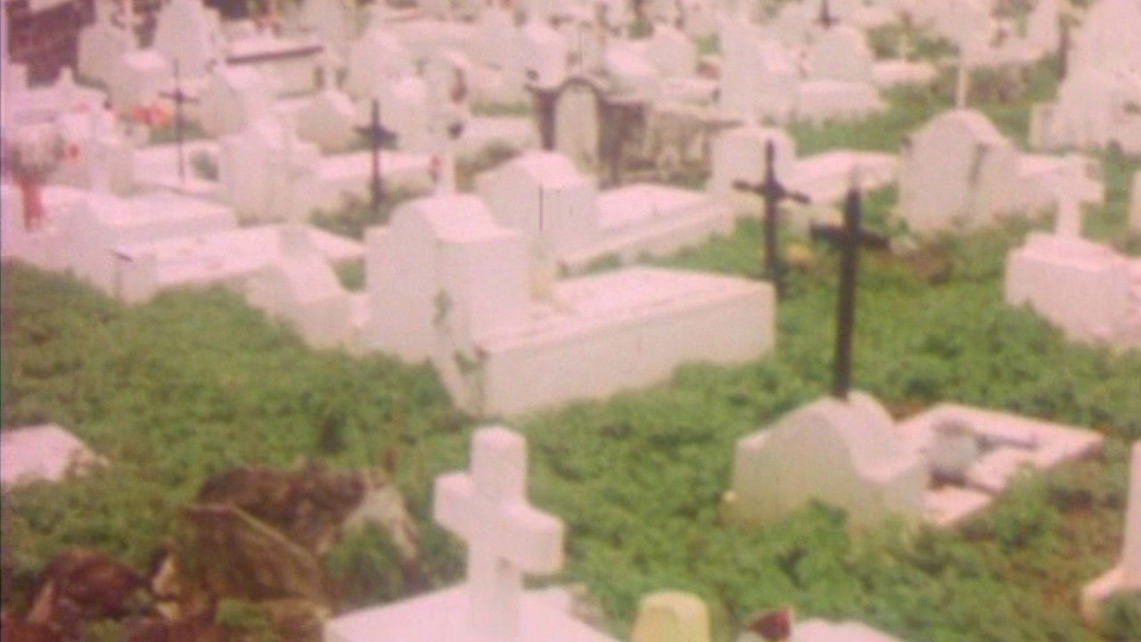 Backdrop image for movie And the Dogs Were Silent