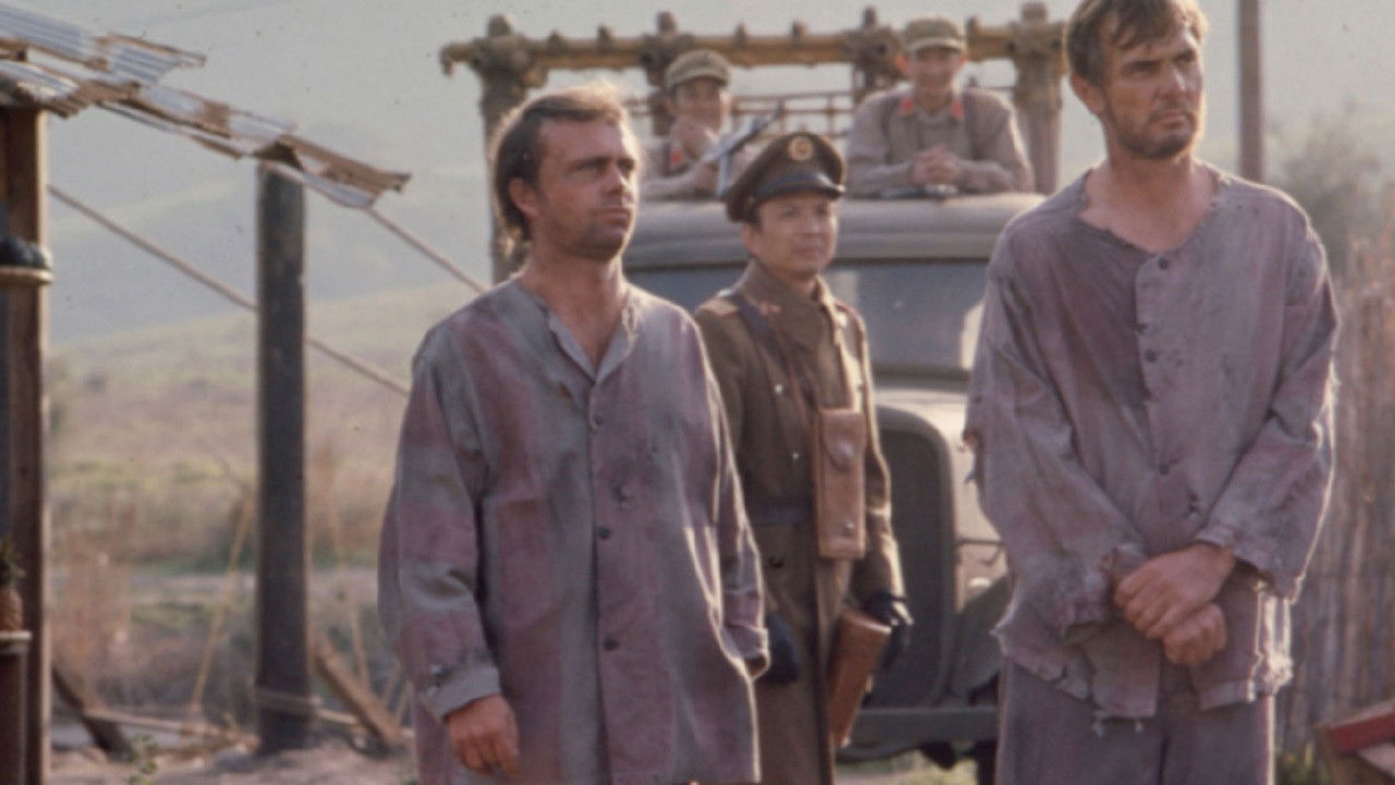 Backdrop image for movie The Forgotten Man