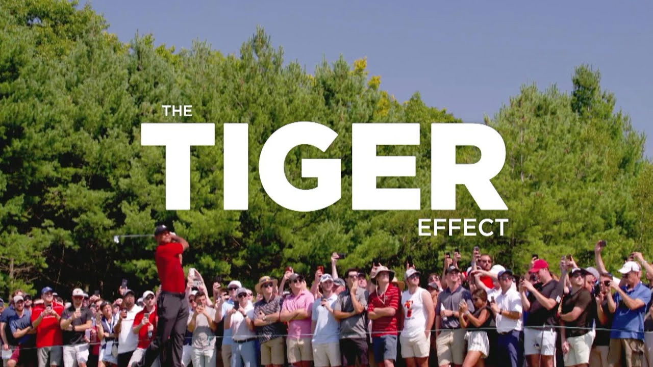 Backdrop image for movie The Tiger Effect
