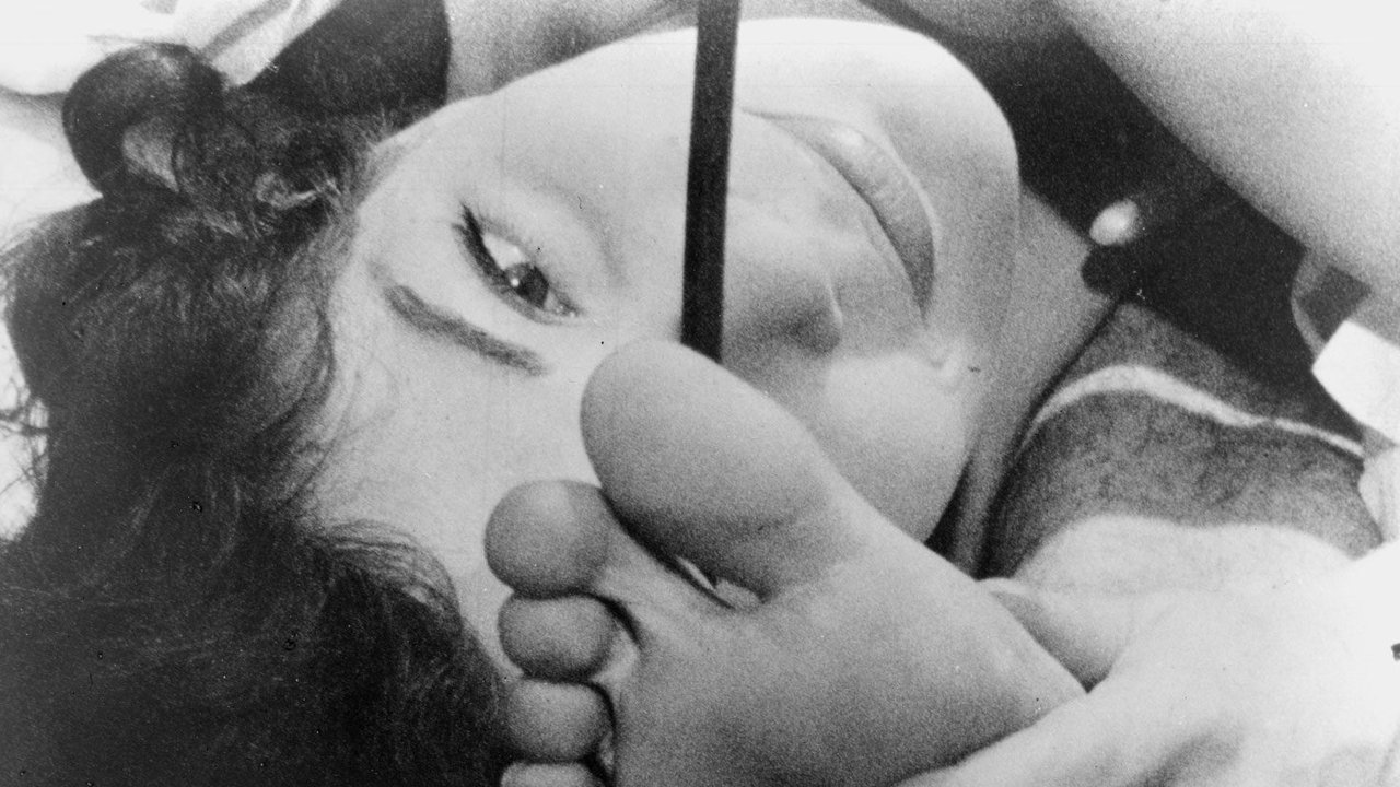 Backdrop image for movie Diary of a Pregnant Woman