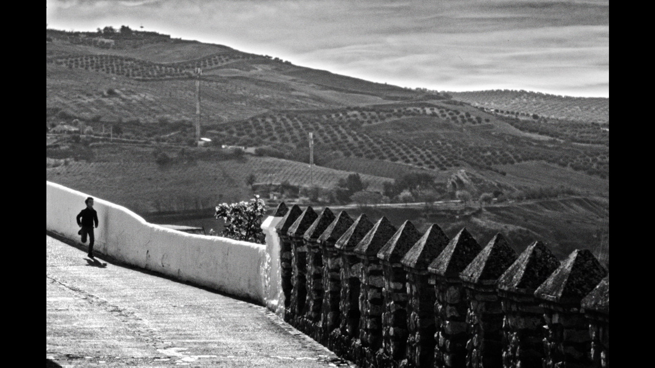 Backdrop image for movie The Trail Left by Time