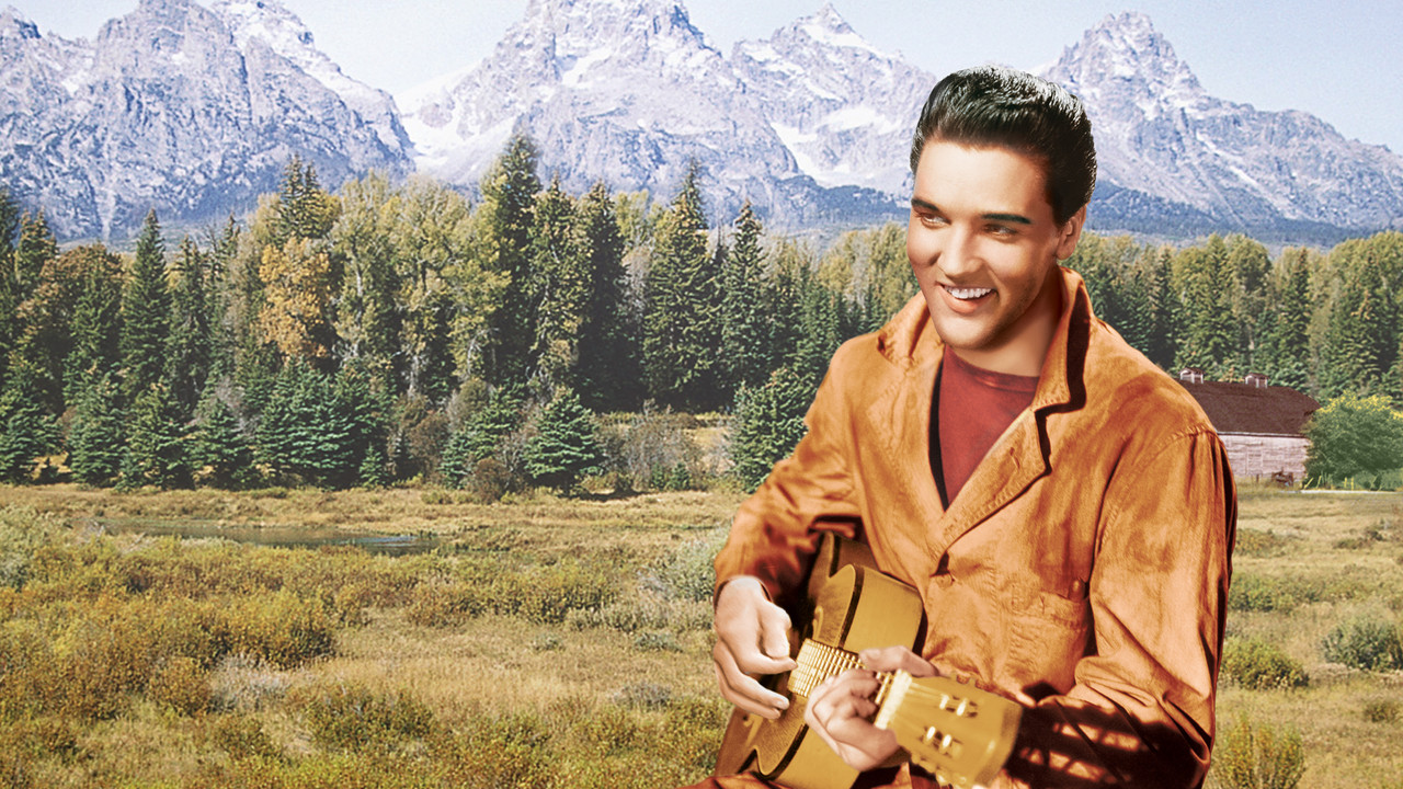 Backdrop image for movie Wild in the Country