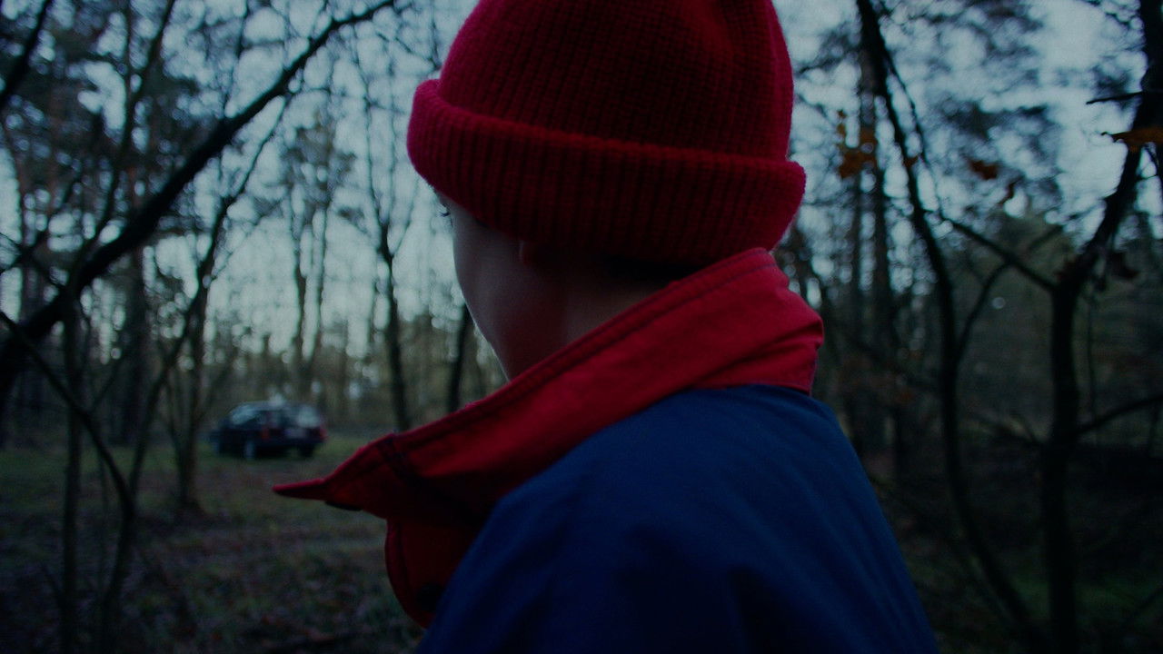 Backdrop image for movie A Blackbird Sat on a Branch