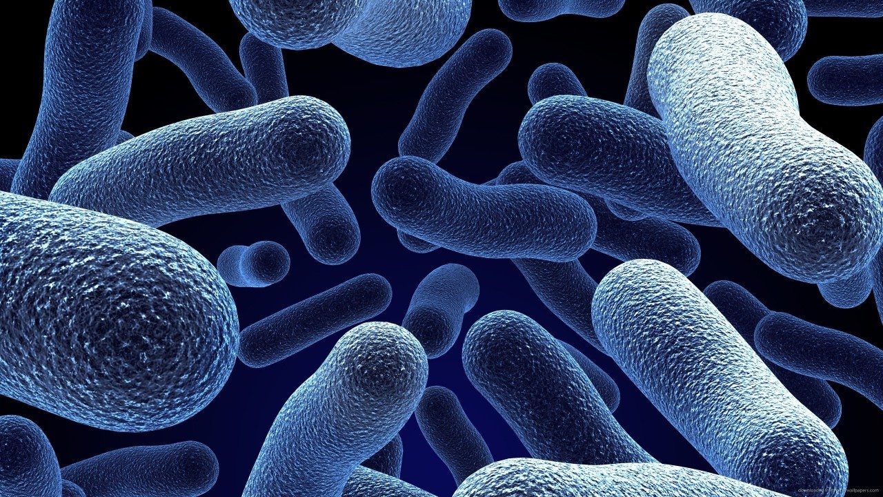 Backdrop image for movie Bacterial World