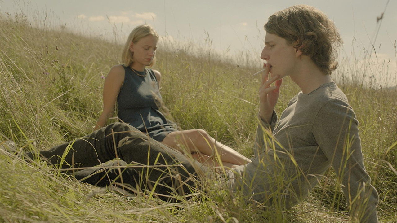 Backdrop image for movie The Nettle