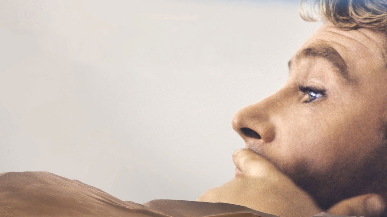 Backdrop image for movie Peter O'Toole: Along the Sky Road to Aqaba