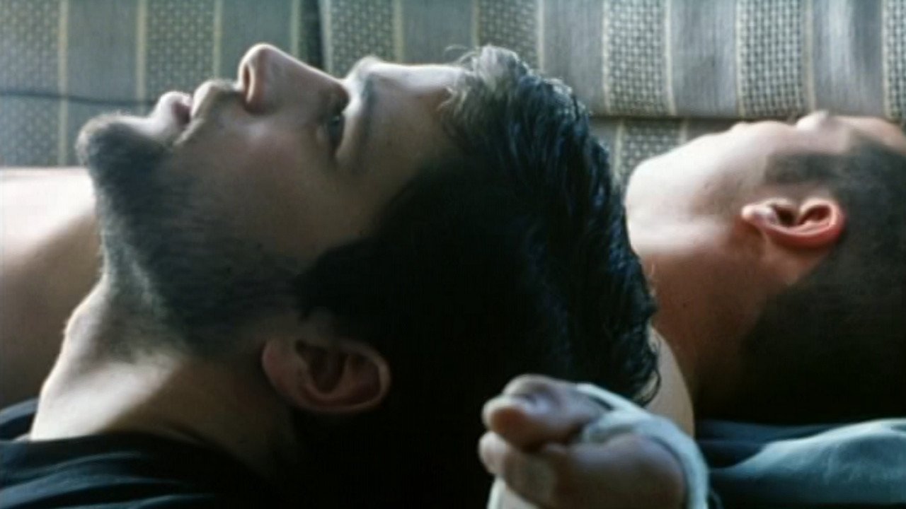 Backdrop image for movie Kissing Tigers