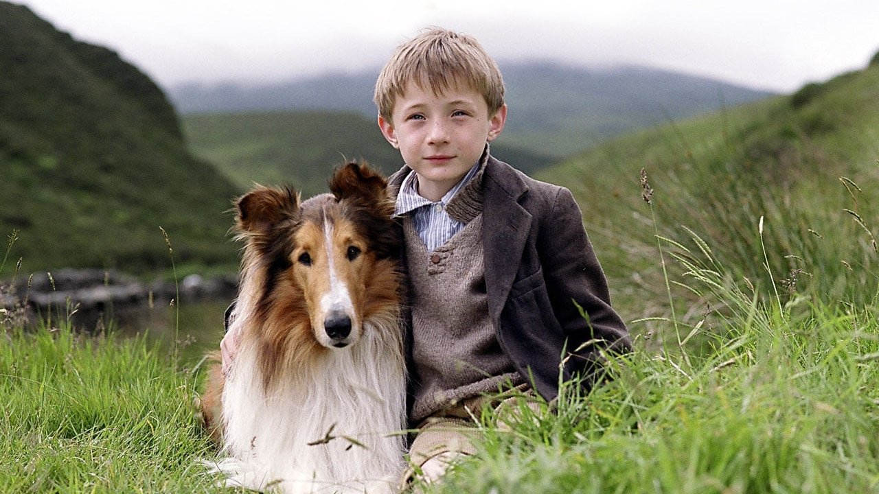 Backdrop image for movie Lassie
