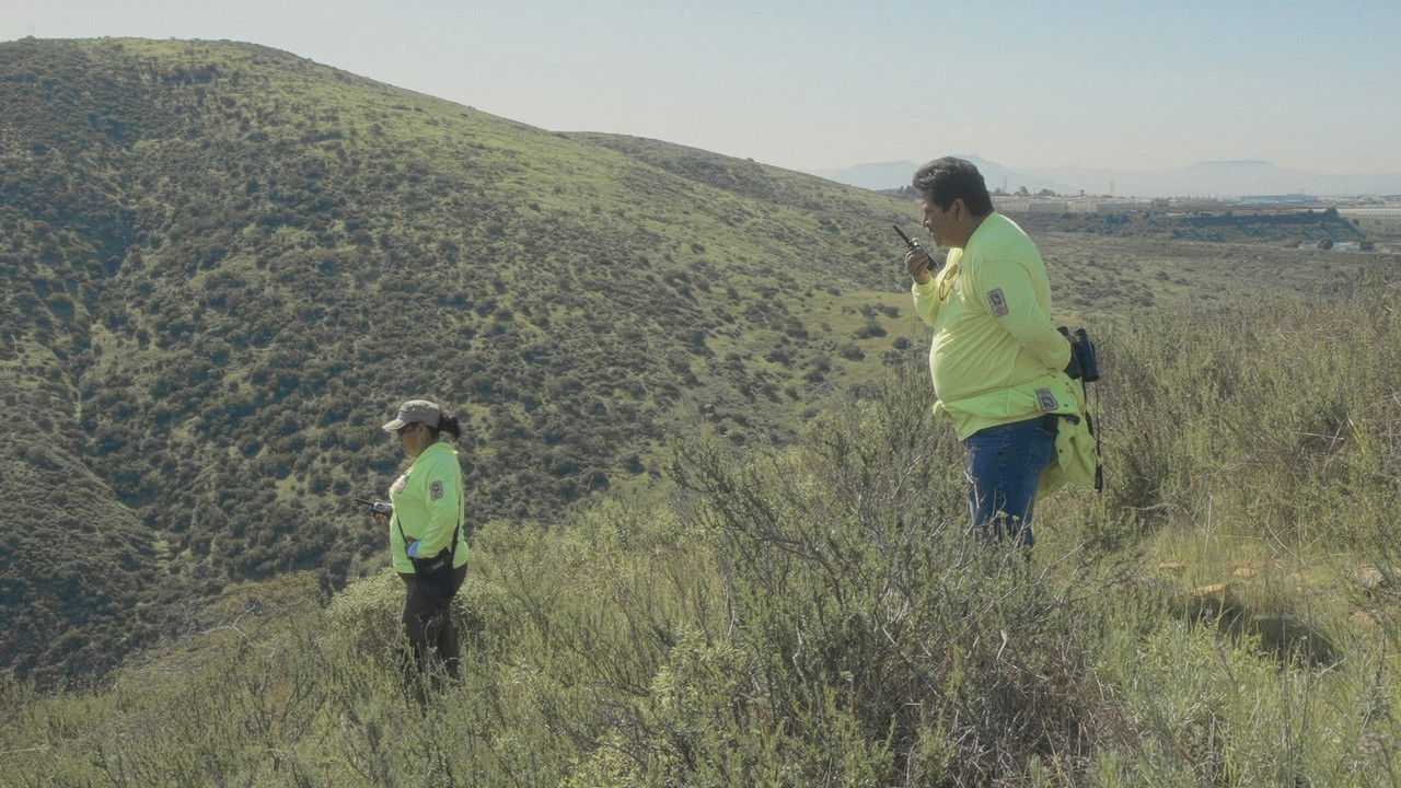 Backdrop image for movie Spare My Bones, Coyote!