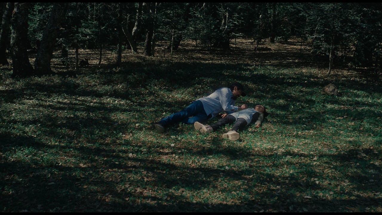 Backdrop image for movie Old Well