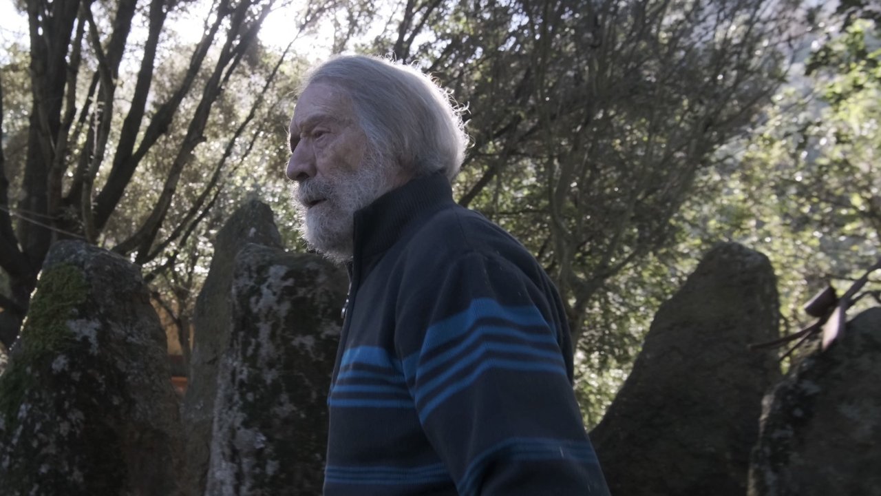 Backdrop image for movie Bruno Petretto - Una vita per l'arte