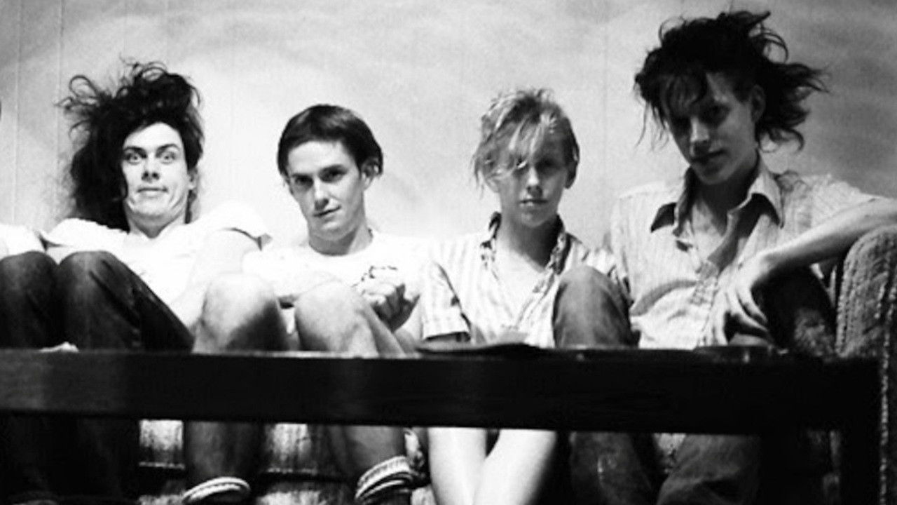 Backdrop image for movie Butthole Surfers: The Hole Truth and Nothing Butt