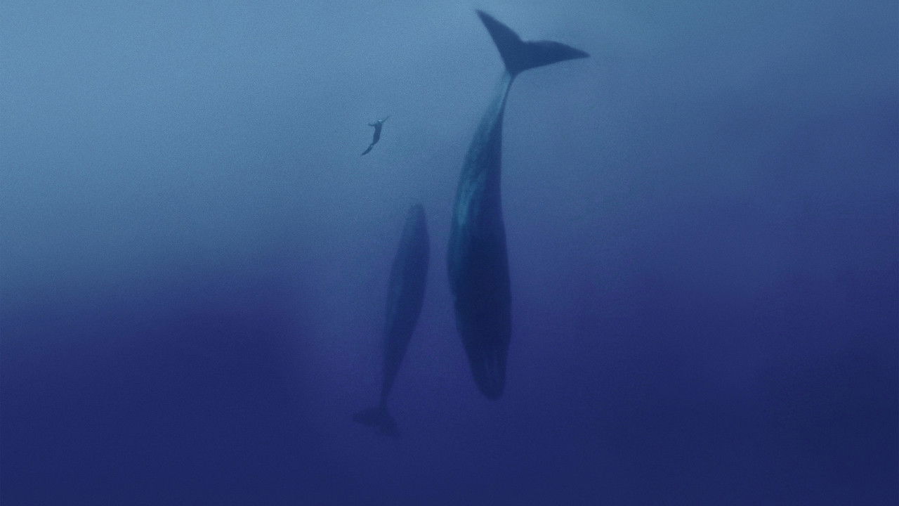 Backdrop image for movie Freediver