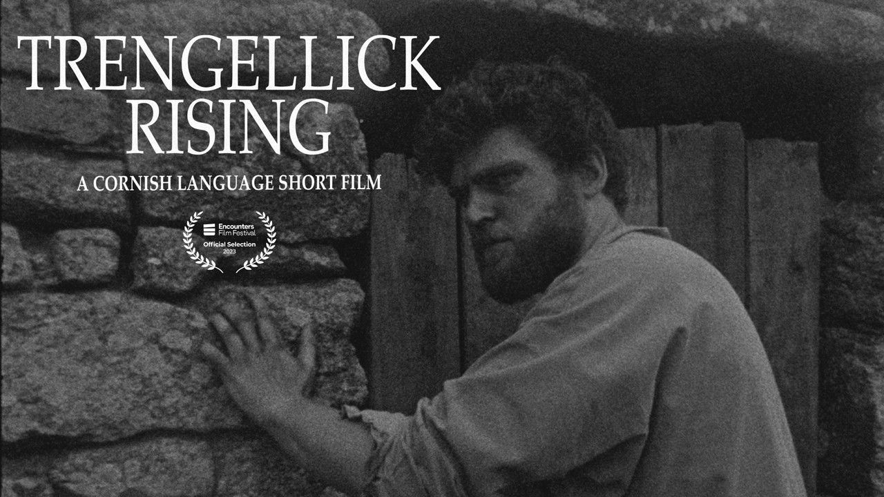 Backdrop image for movie Trengellick Rising